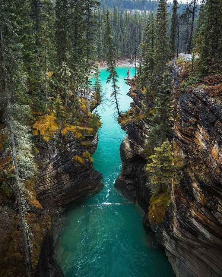 My love for&nbsp;nature