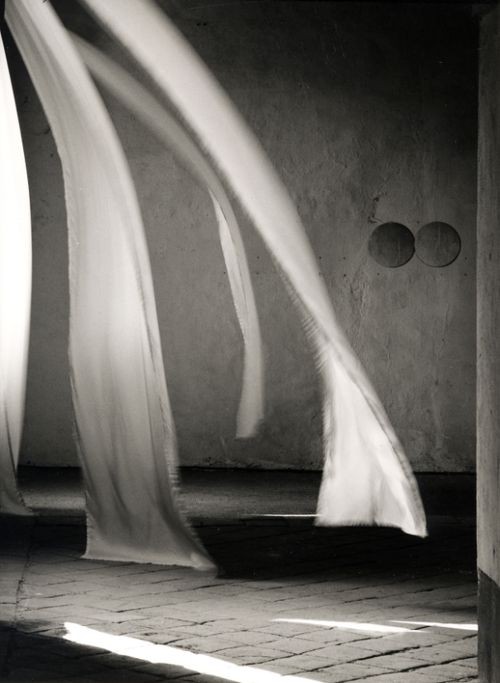 Gliding on a&nbsp;zephyr