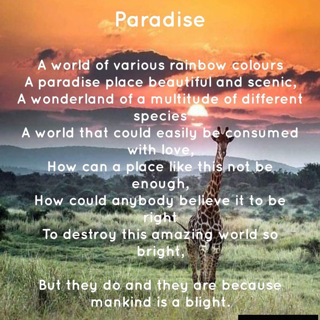 Paradise