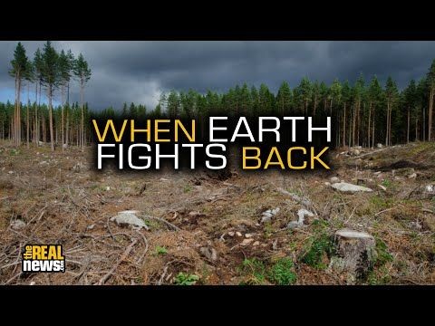 All to sate your need and&nbsp;greed