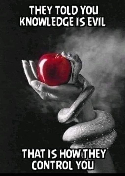 Power and Distraction: How Oligarchs and Billionaires Manipulate Media to Divert Attention from Economic&nbsp;Inequality