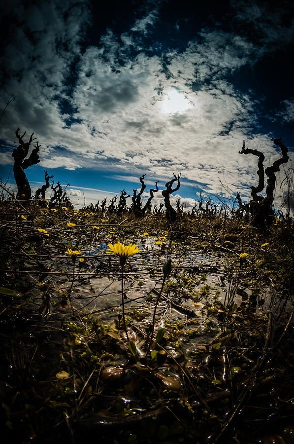 Are people getting&nbsp;dumber?