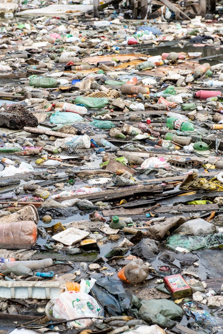 Turning the Tide: The Urgent Need to Restore Our Global&nbsp;Waterways